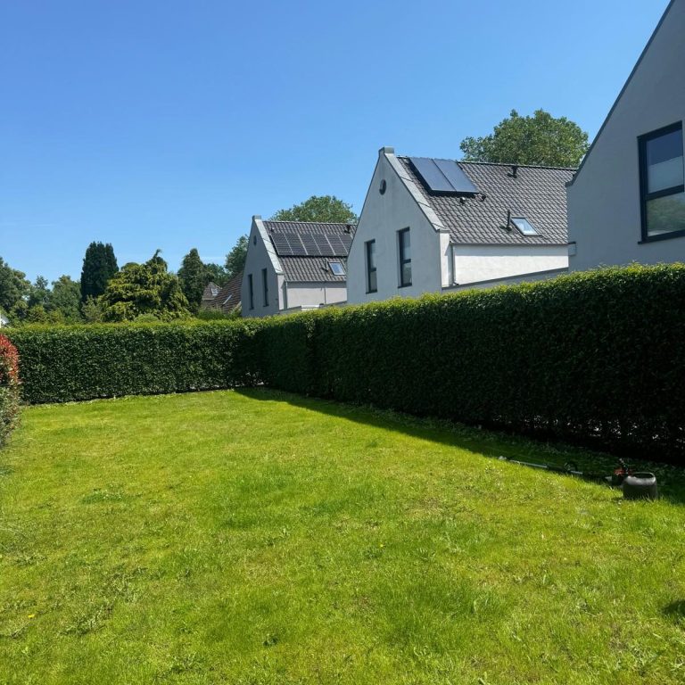 Gartenpflege & Heckenschnitt von MB-Gartenbau Gartenpflege & Heckenschnitt von MB-Gartenbau