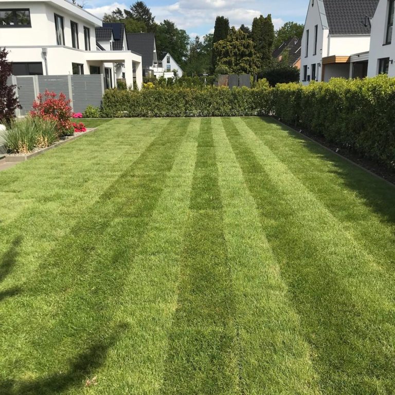 Rasenarbeiten von MB-Gartenbau Rasenarbeiten von MB-Gartenbau